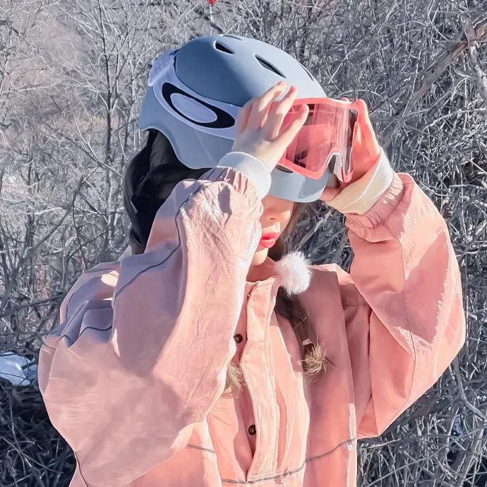 古惑仔情义篇之洪兴十三妹